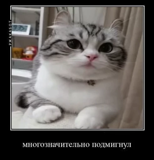 😉 Стикер «Банда камароф» для Telegram