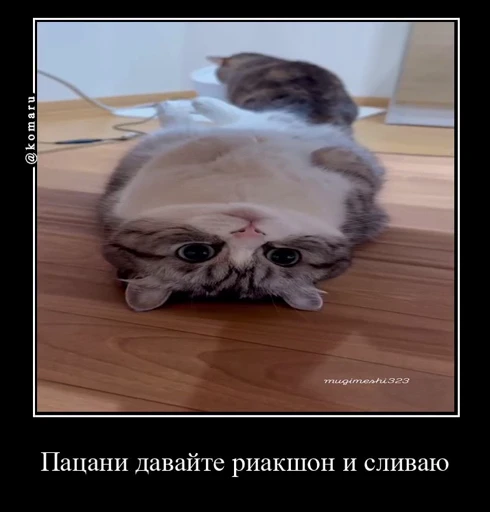 🥰 Стикер «Банда камароф» для Telegram
