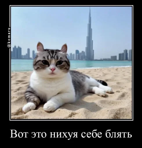 🤬 Стикер «Банда камароф» для Telegram
