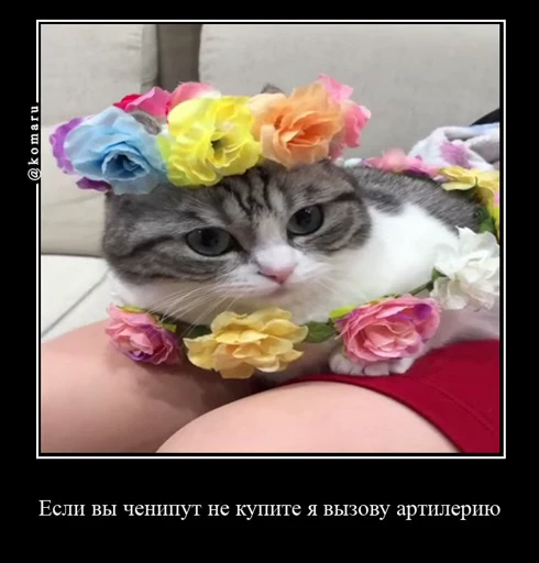 💰 Стикер «Банда камароф» для Telegram