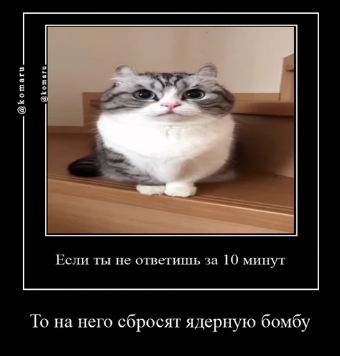 💀 Стикер «Банда камароф» для Telegram