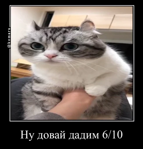 6⃣ Стикер «Банда камароф» для Telegram