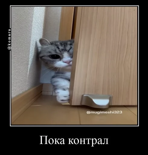 ❤️ Стикер «Банда камароф» для Telegram