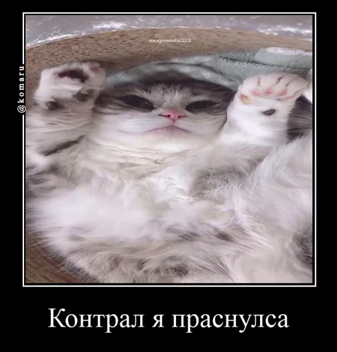 ❤️ Стикер «Банда камароф» для Telegram