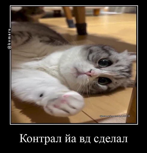 👈 Стикер «Банда камароф» для Telegram