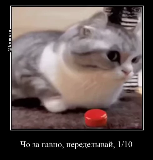 1️⃣ Стикер «Банда камароф» для Telegram