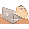 😵 Эмодзи «Kapebeans Cats» для Telegram