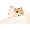 👋 Эмодзи «Kapebeans Cats» для Telegram