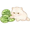🍉 Эмодзи «Kapebeans Cats» для Telegram