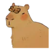 🦋 Эмодзи «Забавные капибары 🍓» для Telegram