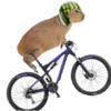 🚲 Эмодзи «Забавные капибары 🍓» для Telegram