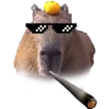 🕶 Эмодзи «Забавные капибары 🍓» для Telegram