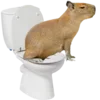 🚽 Эмодзи «Забавные капибары 🍓» для Telegram