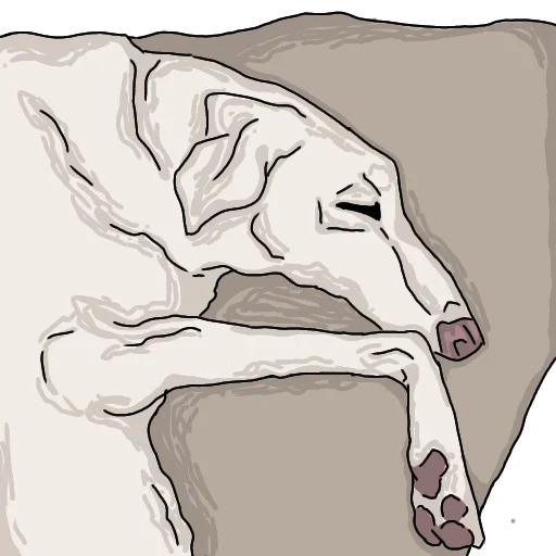 💤 Стикер «Kate._dog» для Telegram