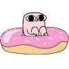 🍩 Эмодзи «Ketnipz» для Telegram