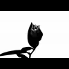 🪷 Эмодзи «Kiss Of Death» для Telegram