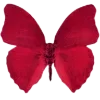 🦋 Эмодзи «Kisses» для Telegram