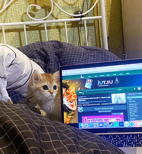 💻 Стикер «котёнок Ра» для Telegram