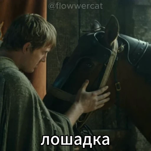 🐴 Стикер «Сир Дункан Высокий» для Telegram