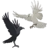 🐦‍⬛ Эмодзи «𝗗𝗲𝗺𝗼𝗻 𝘀𝗹𝗮𝘆𝗲𝗿 𝗯𝘆» для Telegram