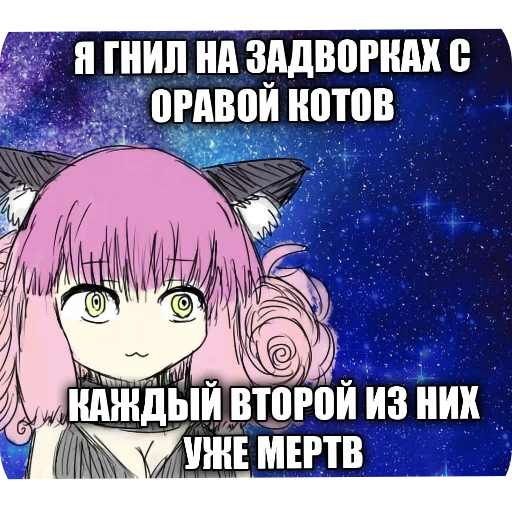 🖼 Стикер «KolyaMeme» для Telegram