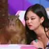 🤩 Эмодзи «k-pop» для Telegram