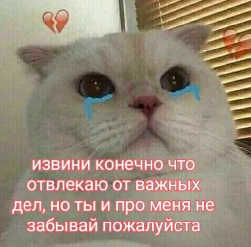 🥲 Стикер «Пельмени и круассаны» для Telegram