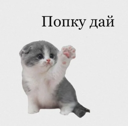 🥹 Стикер «Пельмени и круассаны» для Telegram