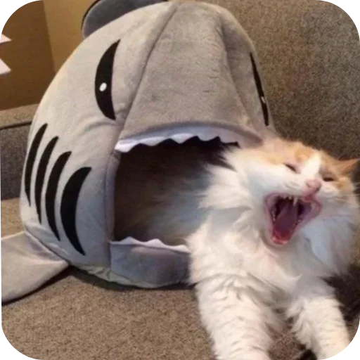 🐱 Стикер «Смешные котики» для Telegram