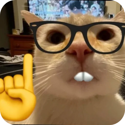 🤓 Стикер «Смешные котики» для Telegram
