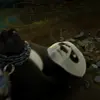 🐼 Эмодзи «Kung» для Telegram