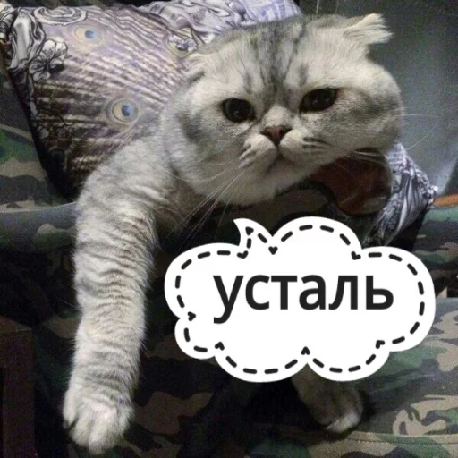 😞 Стикер «КотикЦмок» для Telegram