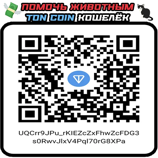 🙏 Стикер «Квадротные Square animals» для Telegram