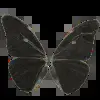 🦋 Эмодзи «Black style #colors #black #style» для Telegram