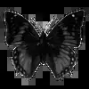 🌟 Эмодзи «Black style #colors #black #style» для Telegram