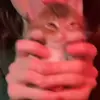 🐈 Эмодзи «Mix #girl #animals #cat #cute» для Telegram