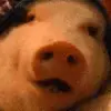 🐽 Эмодзи «Mix #girl #animals #cat #cute» для Telegram