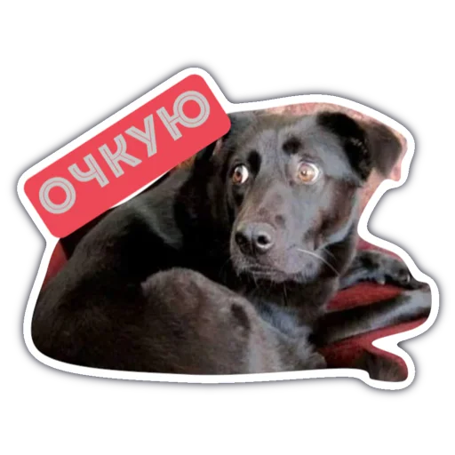 😱 Стикер «Livuiton зе бест» для Telegram