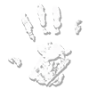 🖐 Эмодзи «Lotr» для Telegram