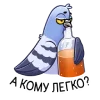 🕊 Эмодзи «Голубь Миша» для Telegram