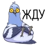 🕊 Эмодзи «Голубь Миша» для Telegram