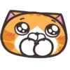 🤩 Эмодзи «Lan Lan Cat» для Telegram