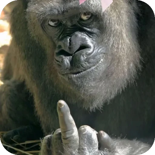 🖕 Стикер «Lengthy Teal Flea» для Telegram