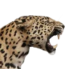 🐆 Эмодзи «Leopard core» для Telegram