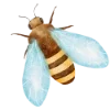 🐝 Эмодзи «Сочное лето design_» для Telegram