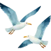 🕊️ Эмодзи «Сочное лето design_» для Telegram