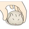 🐹 Эмодзи «() Hamster» для Telegram