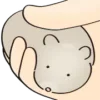 🐹 Эмодзи «() Hamster» для Telegram