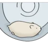 🐹 Эмодзи «() Hamster» для Telegram
