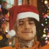 🌲 Эмодзи «🤟 Набор эмоджи с «LiL PEEP Лил Пип»» для Telegram